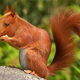 Illustration for article titled Yikes, these animal hybrids are so hilariously terrifying